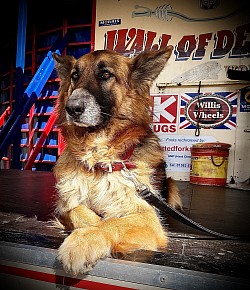 Advertising with lucy wall of death